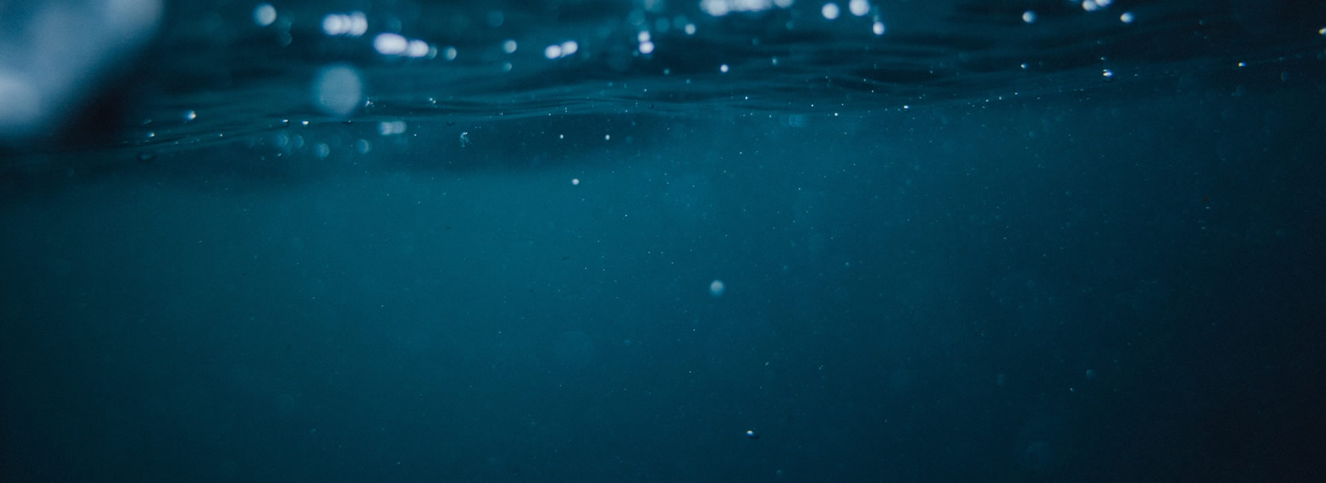 Mouvement Libéral Vert